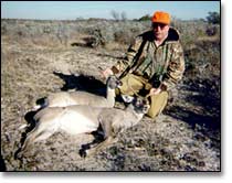 Hunting Deer