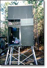 Hunting Stand and road