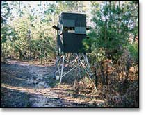 Hunting Stand